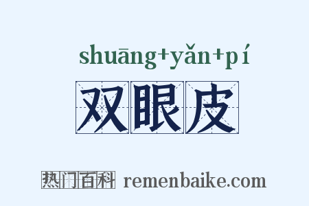 双眼皮是什么意思的图片